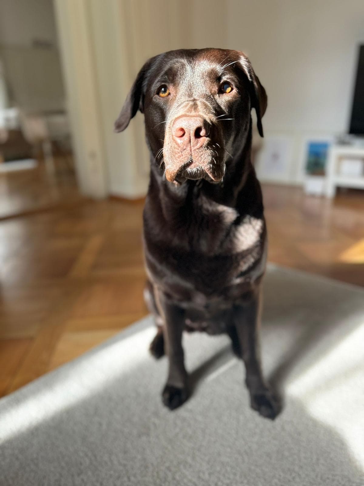 Otta